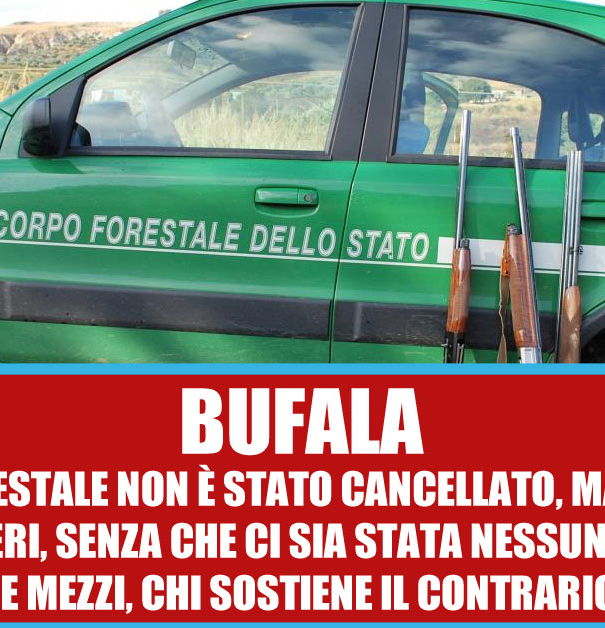 La guardia forestale cancellata article-post