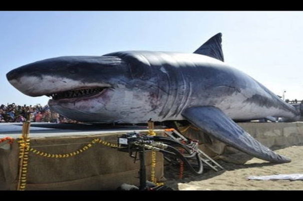 Il megalodonte, SpeedNews24 e i social article-post