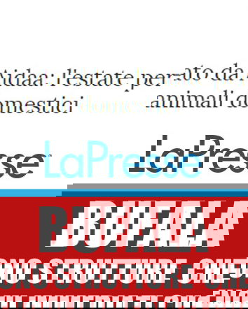 Cani abbandonati (sui balconi), diamo i numeri?