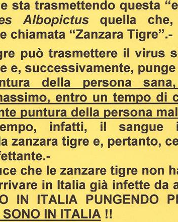 Chikungunya, quello che andrebbe detto