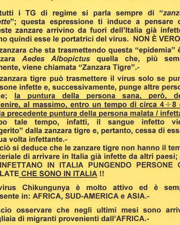 Chikungunya, quello che andrebbe detto article-post