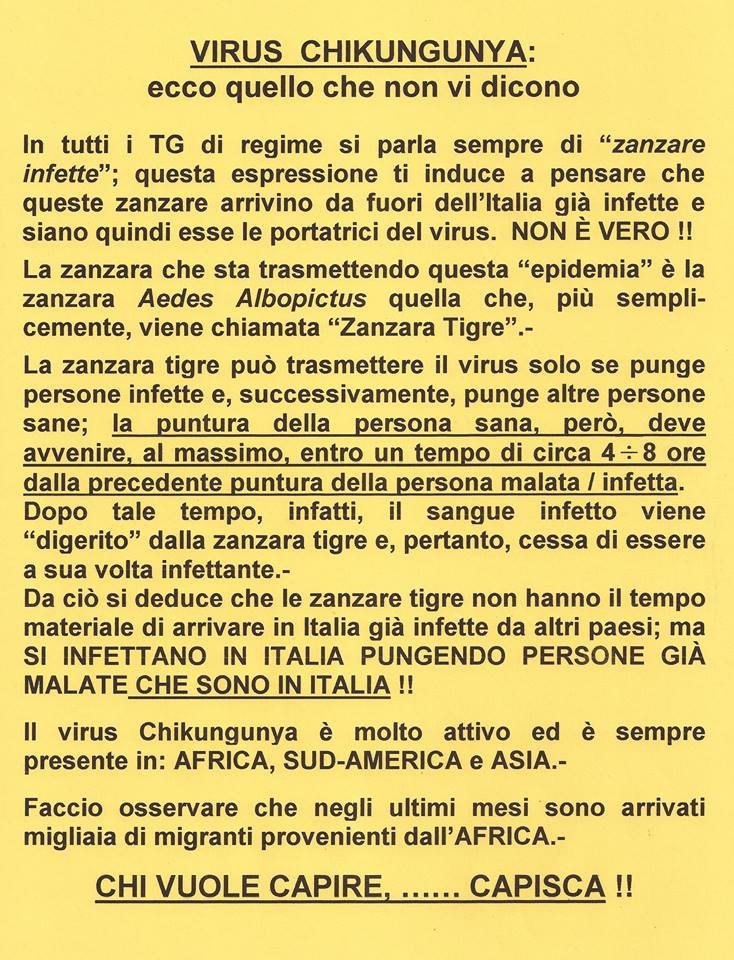 Chikungunya, quello che andrebbe detto article-post