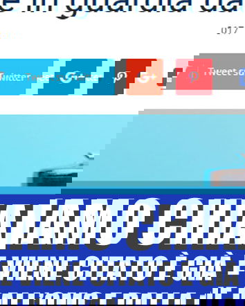 Lo studio francese sull’alluminio nei vaccini