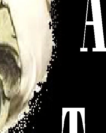 Adotta un terrorista – Liberals Accept Responsability for Killers