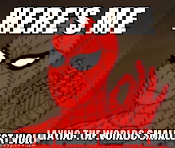 Il ragno violino e la fretta nel dare le notizie