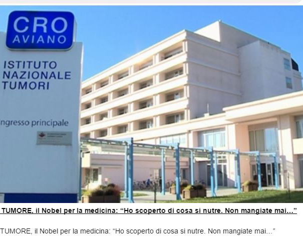 La svolta sul tumore, Otto Heinrich Warburg e Il ventiquattro article-post