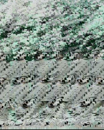 Manipolazione delle masse – glifosato