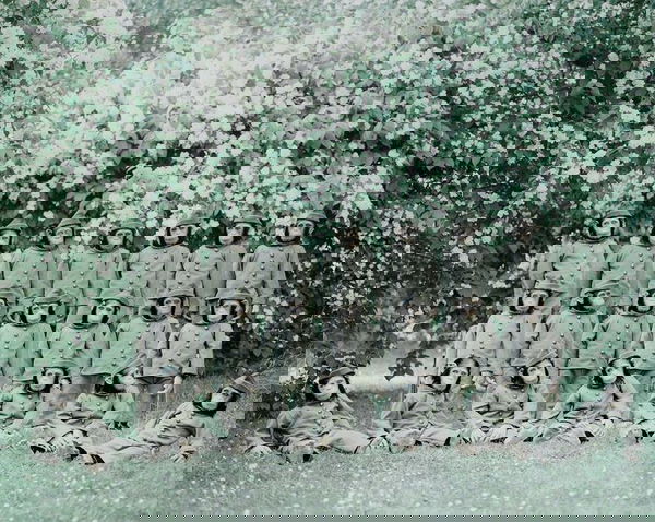 Manipolazione delle masse – glifosato