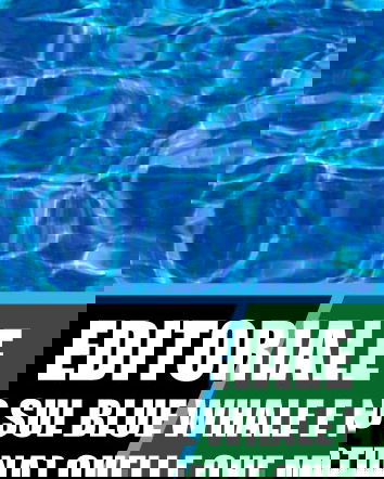 Blue Whale – l’autunno dell’informazione