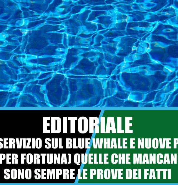 Blue Whale – l’autunno dell’informazione article-post