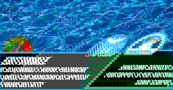 Blue Whale – l’autunno dell’informazione