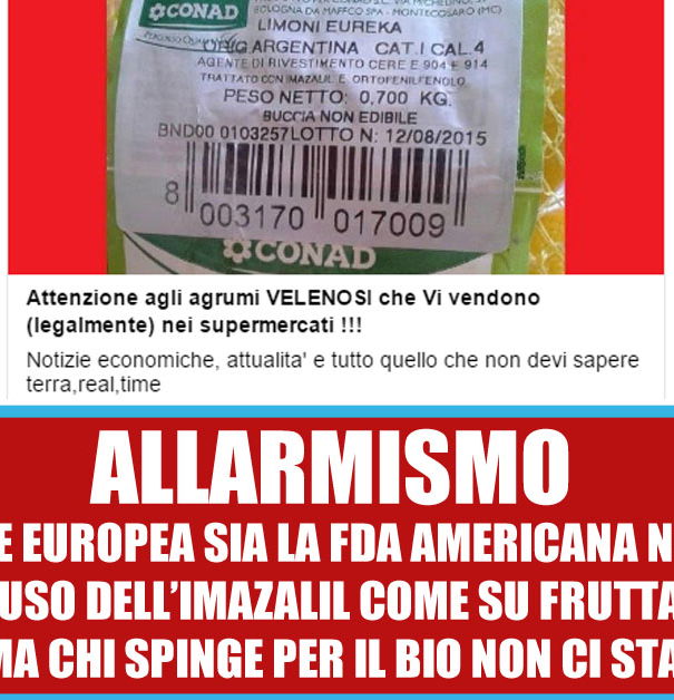 Agrumi velenosi – allarmismo sciocco article-post