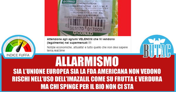 Agrumi velenosi – allarmismo sciocco