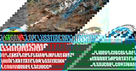 Le verdure con l’ossitocina article-post