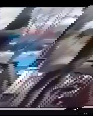 Immigrati lanciano roba dal balcone