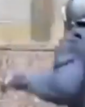 Le cariche della polizia in Catalogna