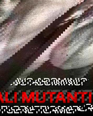 I maiali modificati geneticamente