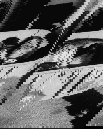 Decontestualizzare per immagini