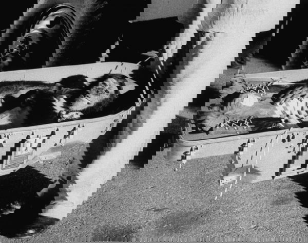 Decontestualizzare per immagini