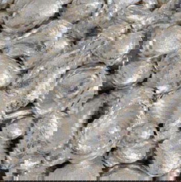 Viaggio nel magico mondo dell’argento