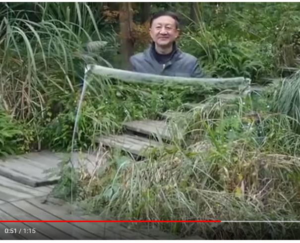 Il mantello dell’invisibilità article-post