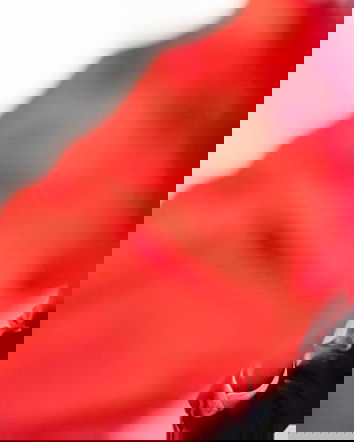 Di Maio, le parlamentarie e i possibili fraintendimenti