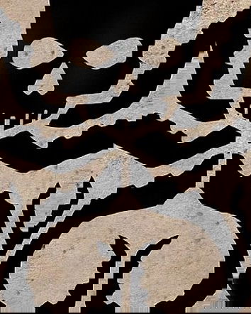 Fake News Awards – Elogio della controinformazione