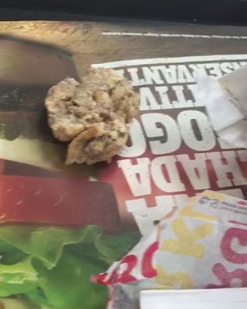 I vermi del Burger King