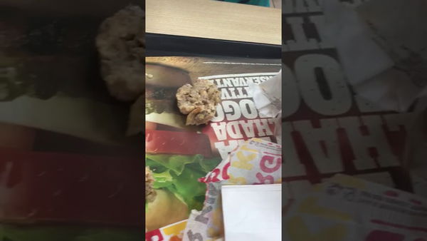 I vermi del Burger King