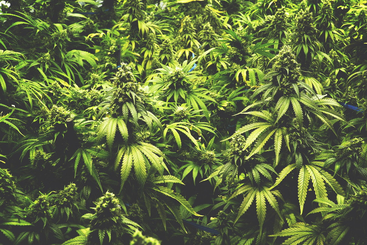 article-post