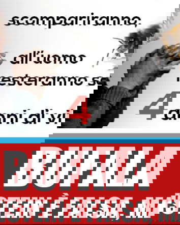 Le citazioni improbabili – Einstein e le api