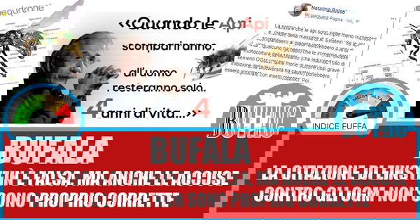 Le citazioni improbabili – Einstein e le api