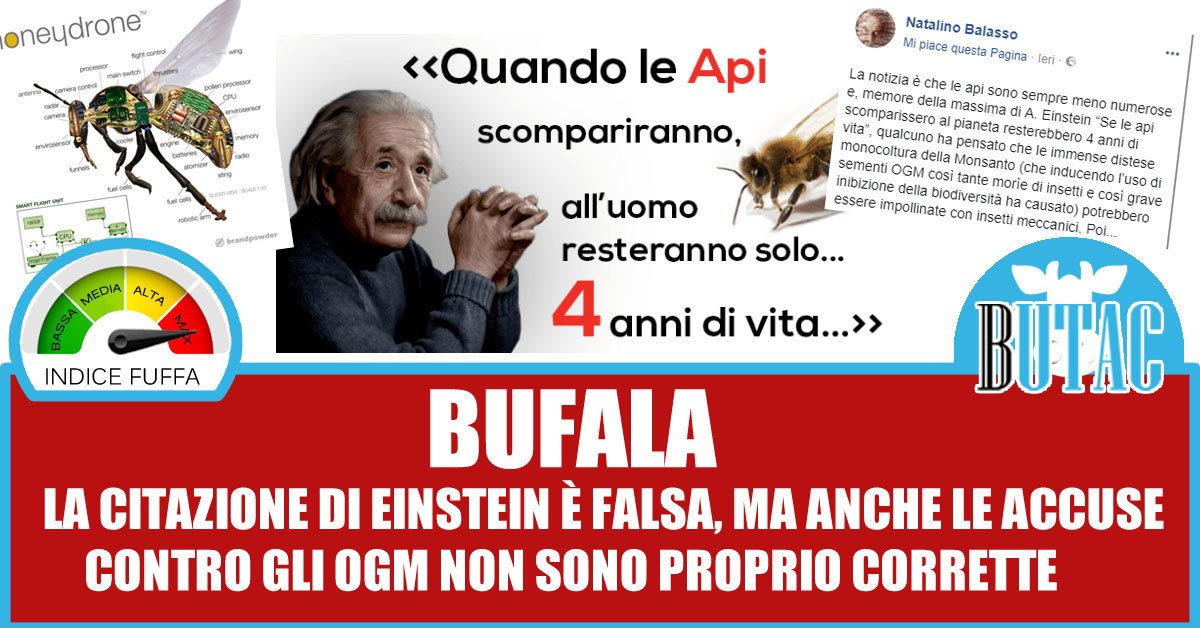 Le citazioni improbabili – Einstein e le api article-post