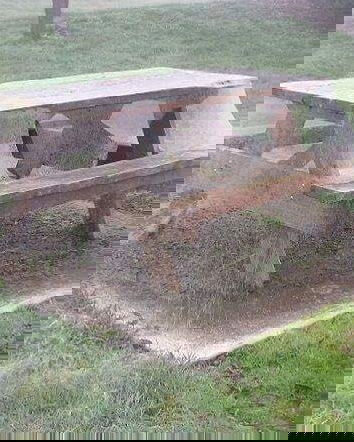 Scie chimiche o ragni?