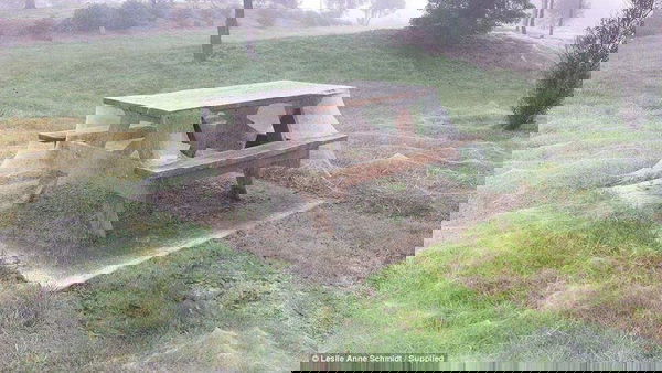 Scie chimiche o ragni?