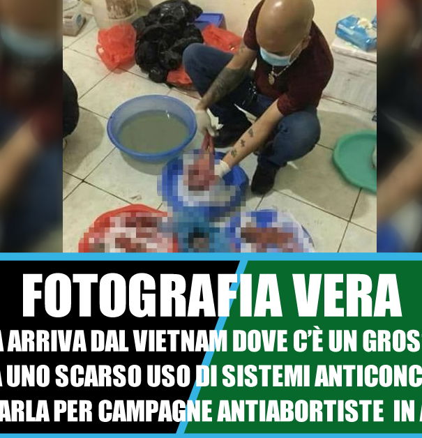 Interruzione volontaria di gravidanza, contesto e motivazioni article-post