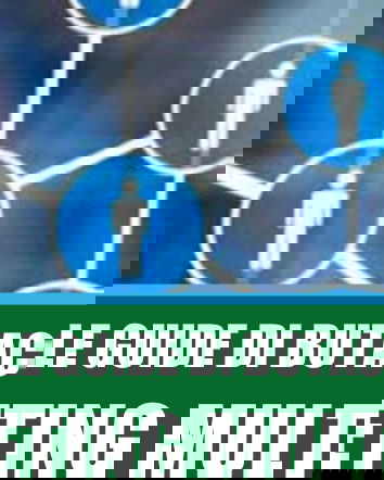 Una guida al network marketing – Parte III