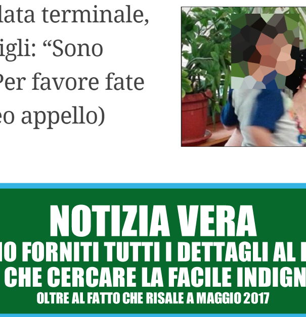 La mamma malata a cui tolgono i figli article-post