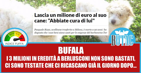 Tor, il cane da un milione di euro
