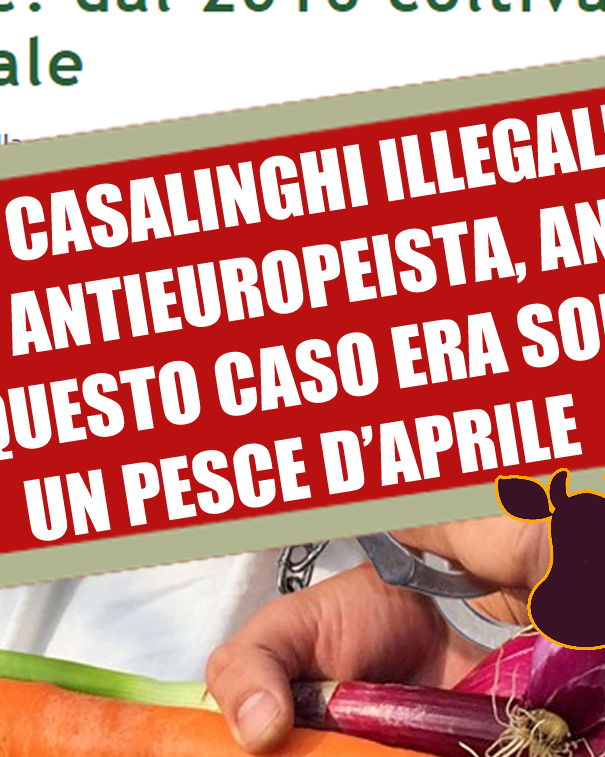 L’Unione Europea e gli orti casalinghi article-post