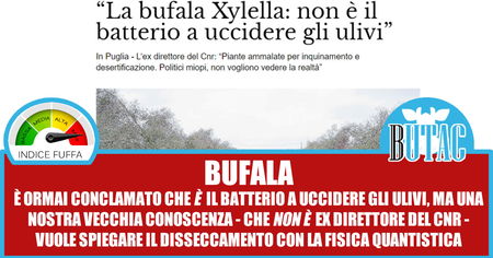 La Xylella è una bufala che si cura con la magia article-post