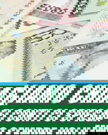 Un Revisore dei Conti ci spiega i vitalizi