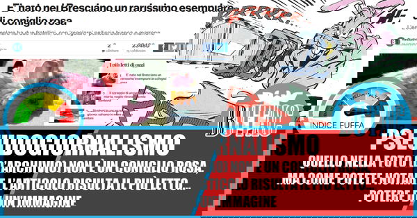 I conigli rosa uccidono