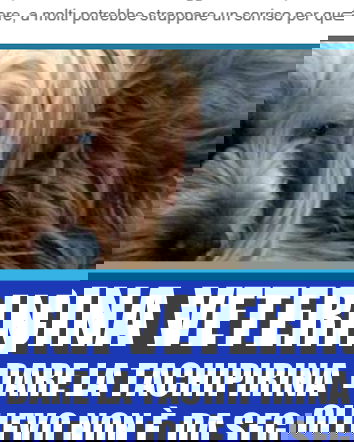 Tachipirina per il mal di testa agli animali?