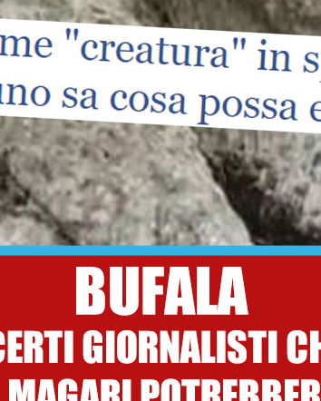 Giornalismo estivo: l’enorme creatura in spiaggia