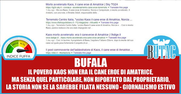 Il cane Kaos eroe di Amatrice?