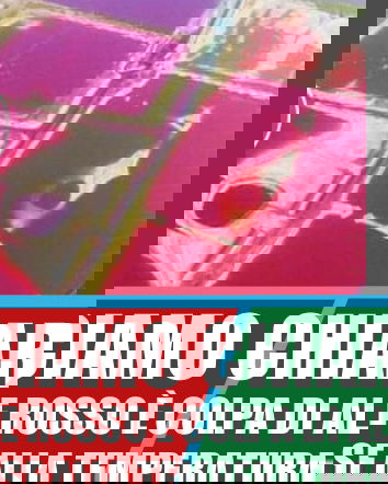 I laghi rossi, l’Artemia salina e le scimmie di mare