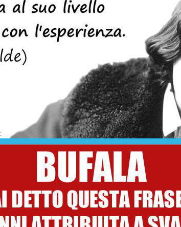 Le citazioni improbabili: Non discutere con un idiota