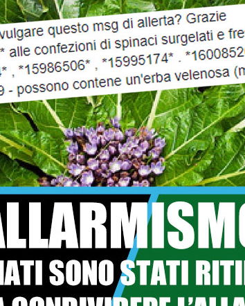 Gli spinaci Bonduelle contaminati con la mandragola