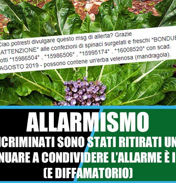 Gli spinaci Bonduelle contaminati con la mandragola article-post